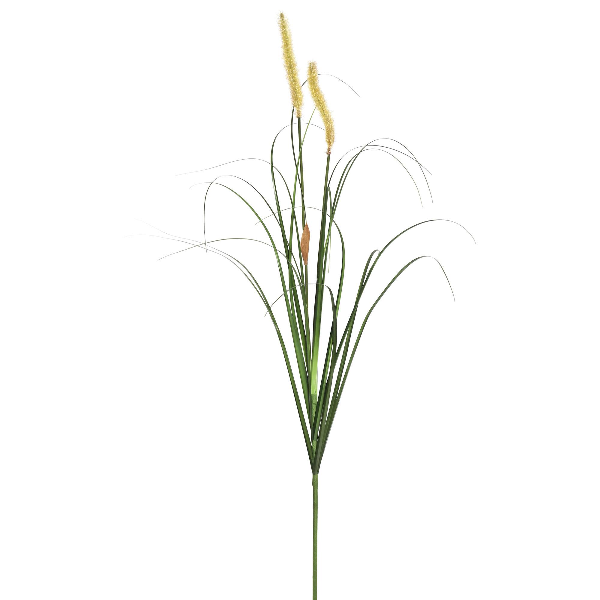 4 Pack: Mixed Green Foxtail Grass Spray